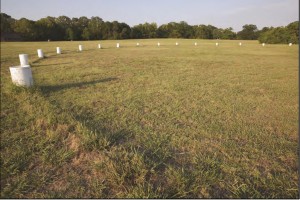 pp-post-circle-web