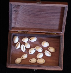 16-cowries-1000