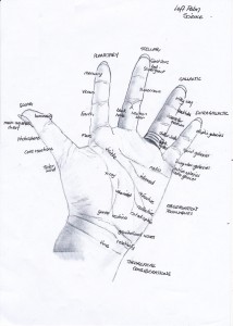 a-palm-l-1000